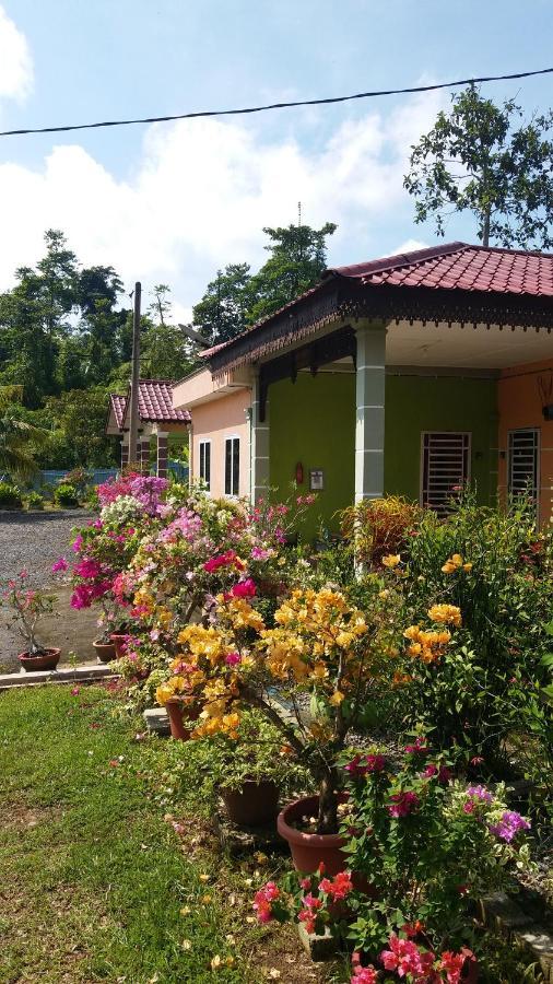 Dhia Irdina Homestay Paya Rewak Exterior photo